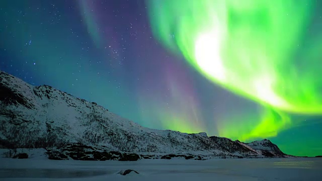 北极光，北极光或北极光在夜空中在罗浮敦群岛在挪威视频素材