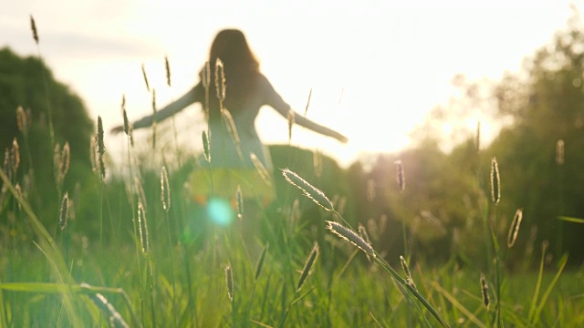 女人享受生活，舞蹈和旋转在绿色的田野视频下载
