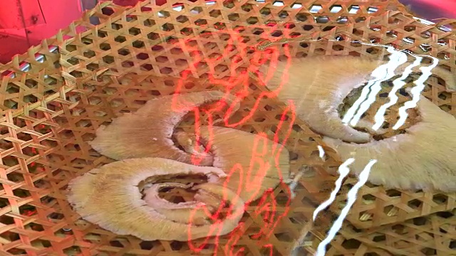 曼谷唐人街一家餐馆的水中鱼翅视频素材