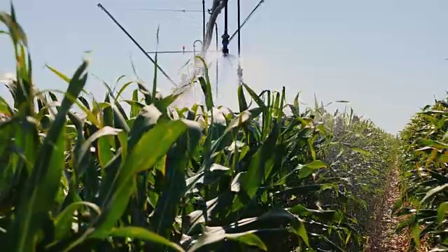 农田自动灌溉系统视频素材