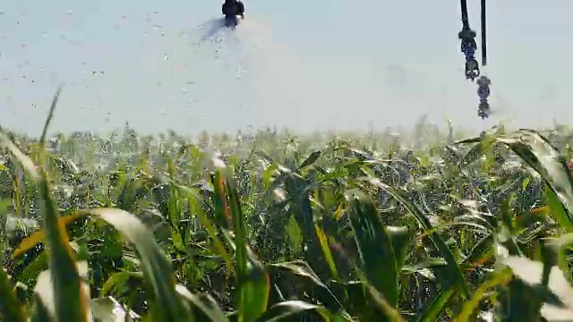 农田自动灌溉系统视频素材