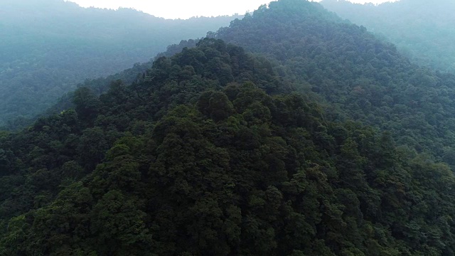 无人机飞越山顶树林，4k视频素材