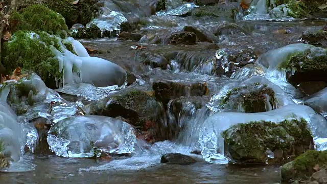 欧洲，德国，莱茵兰-普法尔茨，塔本罗特，天然森林塔本原始森林中的温奇巴赫溪冰雕视频下载