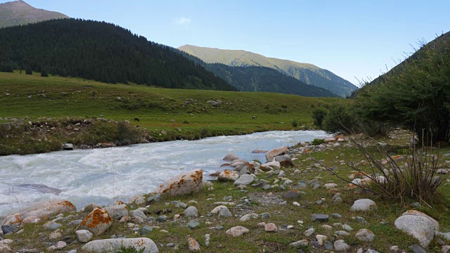 美丽的河流在山谷中流动的背景是绿色的山丘和森林视频素材