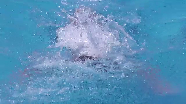 高清超级慢动作:年轻人在户外蝶泳视频下载