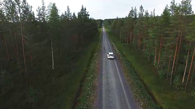 航拍在森林里的乡村道路上跟随一辆汽车行驶视频素材