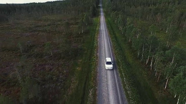 鸟瞰图的白色汽车行驶在笔直的乡村道路在森林。无人驾驶飞机飞过树林中的碎石路视频素材