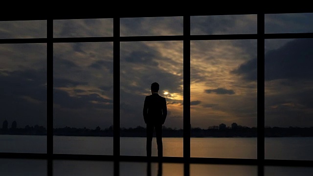 在日落的背景中，雄企鹅站在窗边。时间流逝视频素材