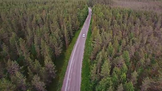 汽车在森林中行驶视频素材