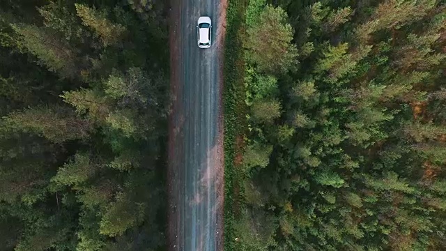 在松树林中开车从上面看。无人机拍摄的砾石路，后面跟着一辆白色汽车视频素材