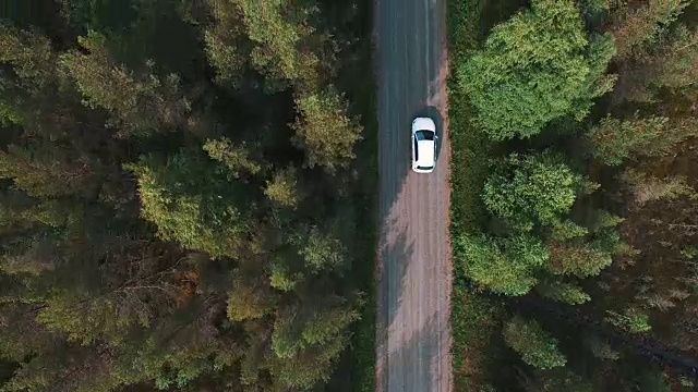 航拍的汽车行驶在道路上松树林。无人机拍摄砾石路和树木，后面跟着一辆白色汽车视频素材