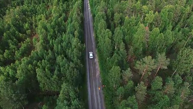 在松树林中，航拍一辆汽车在路上行驶视频素材