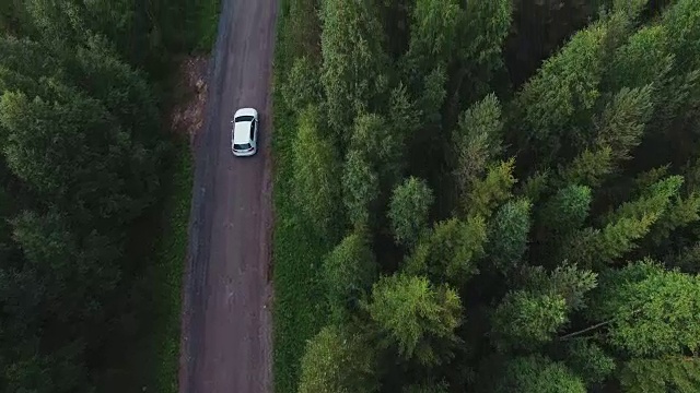 在森林里的乡村道路上行驶的汽车。无人机拍摄的森林砾石路。高空鸟瞰图视频素材