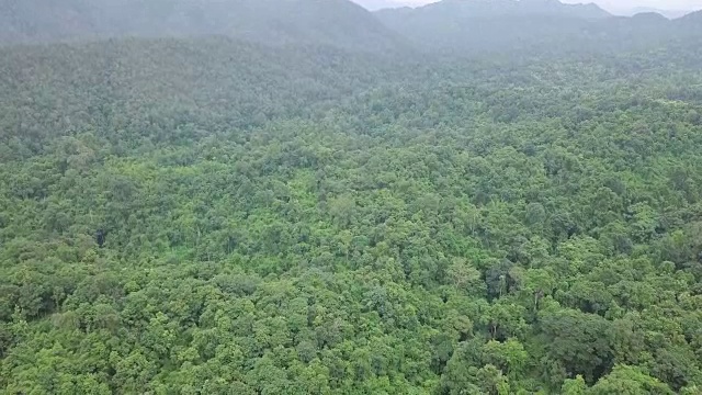 高空鸟瞰热带雨林景观视频素材