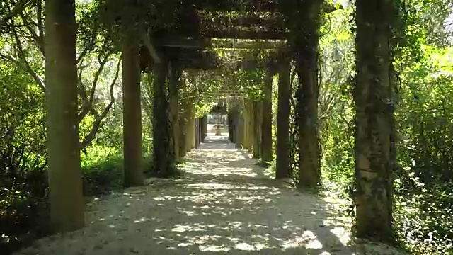 花园隧道(共2条)视频下载