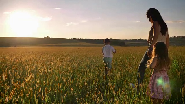 母亲带着孩子的剪影在夏天的田野里散步，家庭的概念视频素材