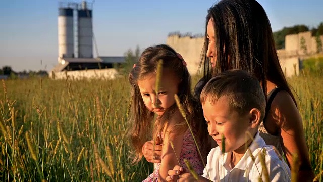 亚洲母亲带着孩子在夏天走在田野里，坐在麦田里，家庭观念视频素材
