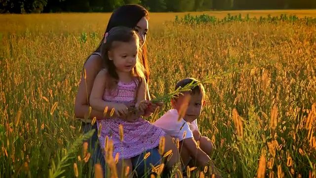 亚洲母亲带着孩子在夏天的田野里散步，坐在麦田里，女儿坐在母亲的膝上，家庭观念视频素材