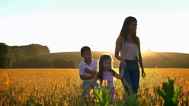 亚洲母亲带着孩子在夏天的田野里散步，家庭观念，树叶在前景中视频素材