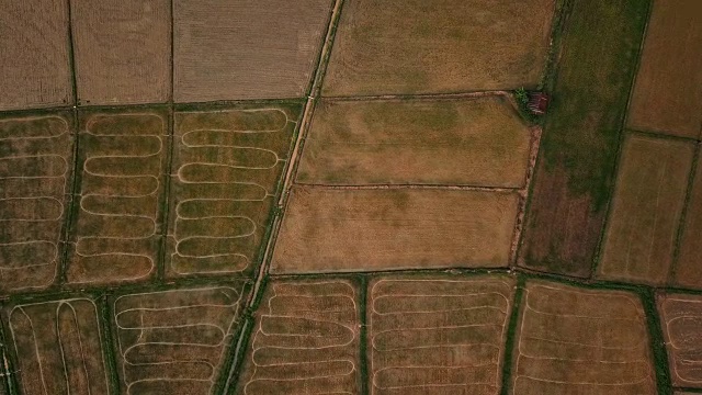 田野视图航空照片从无人机视频素材