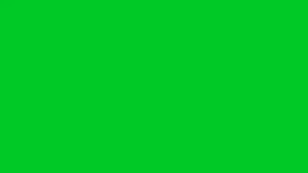 4k黑猫在绿色屏幕上跳跃视频素材