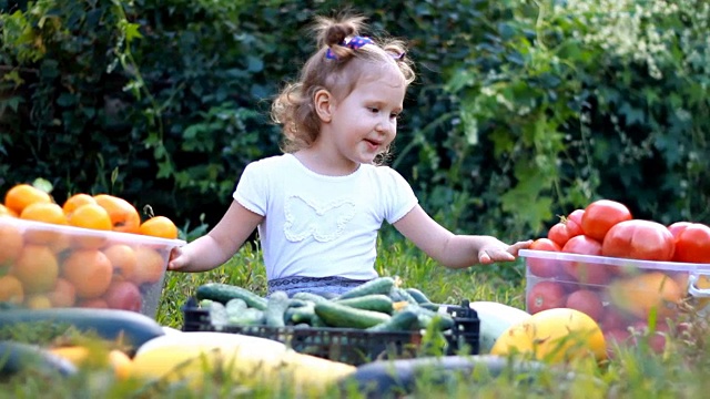 女孩和蔬菜。收获的农业。这个婴儿是素食主义者。素食。成熟的西红柿，西葫芦和黄瓜视频素材