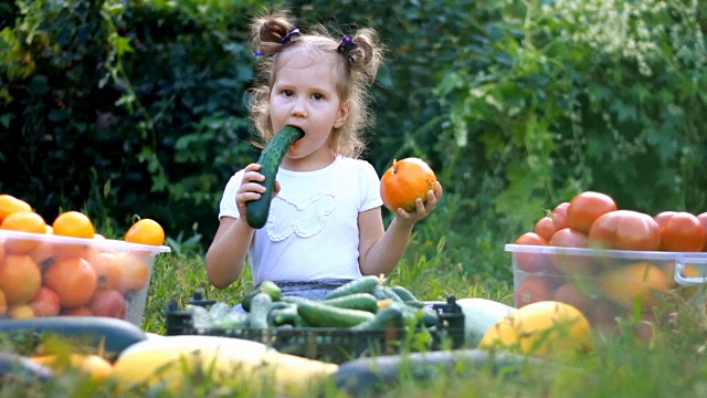 小女孩在吃蔬菜。收获的农业。这个婴儿是素食主义者。素食。成熟的西红柿，西葫芦和黄瓜视频素材