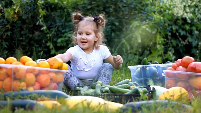 小女孩在吃蔬菜。收获的农业。这个婴儿是素食主义者。素食。成熟的西红柿，西葫芦和黄瓜视频素材