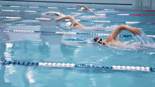 一群年轻的男子竞技专业游泳运动员正在泳池边进行爬泳训练视频下载