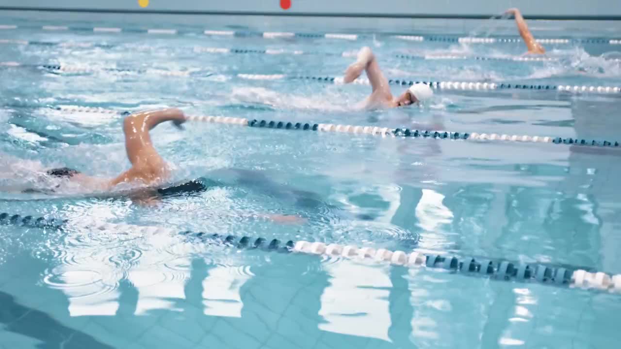 在游泳池中进行慢动作游泳比赛或训练视频购买