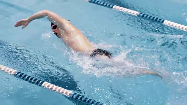 高角度训练专业游泳运动员在游泳池的肌肉慢动作视频下载
