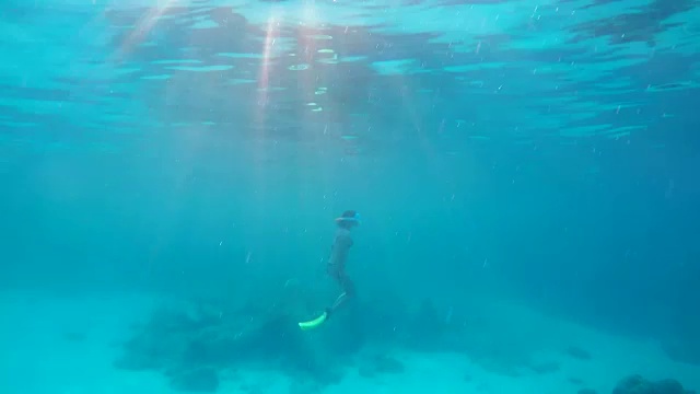 女子潜水在水下浮潜视频下载