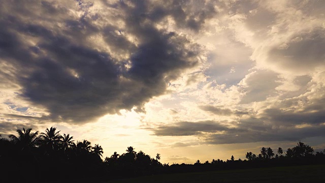 4K:椰子树在云天日落，时光流逝视频素材