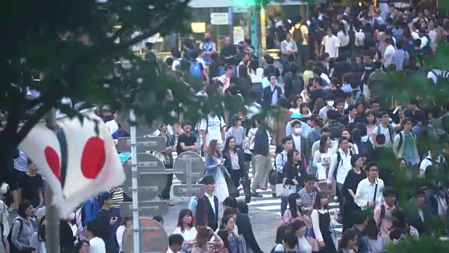 在日本东京，夜晚人群走在涉谷十字路口视频素材