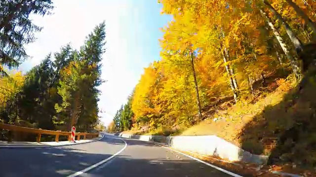 在阳光明媚的日子里，驾车穿过五彩缤纷的秋林视频素材