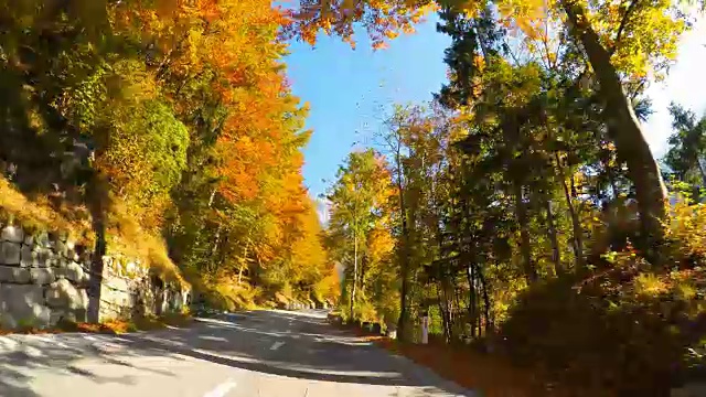 行驶在风景优美的山路上，穿过秋天的森林视频素材