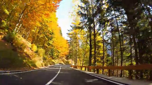 行驶在蜿蜒的山路上，穿过秋天的森林视频素材