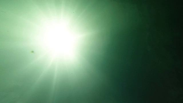 水下场景与阳光照耀通过水的闪闪发光和移动的表面。视频下载
