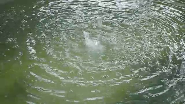 水滴落在水面上的SLO模。视频素材