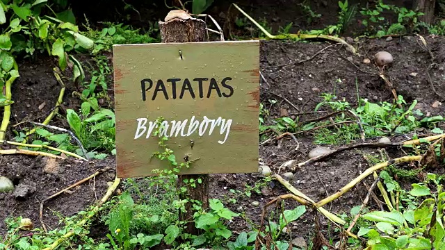 花园木板上的西班牙语和捷克语铭文。信息标志和题词马铃薯(Patatas)。视频下载