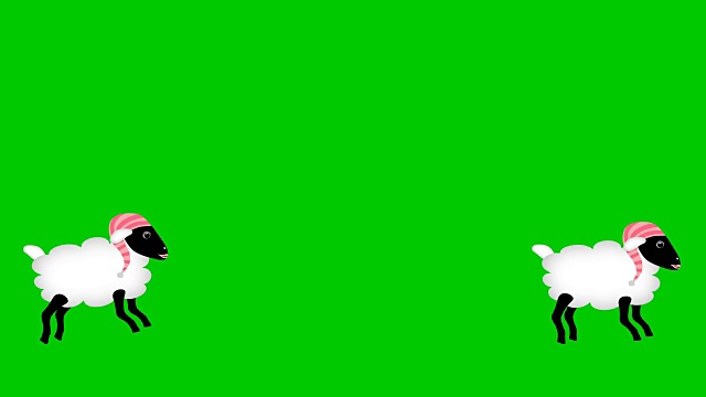 数绵羊在绿色屏幕上跳跃视频素材