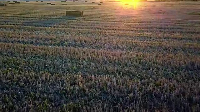 日落时田野上的方形稻草捆的天线视频素材