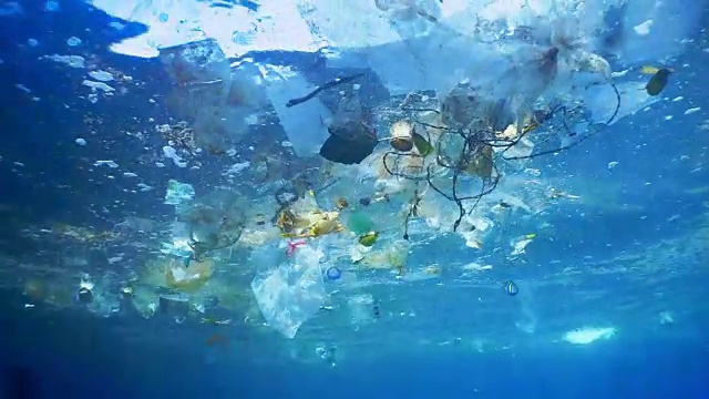 海洋水下塑料污染的环境问题视频下载