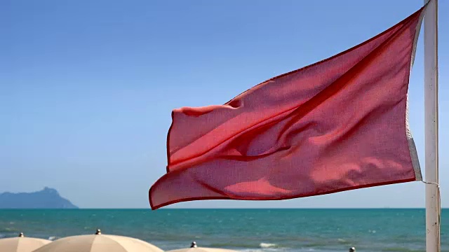 海滩上红旗迎风飘扬。视频素材