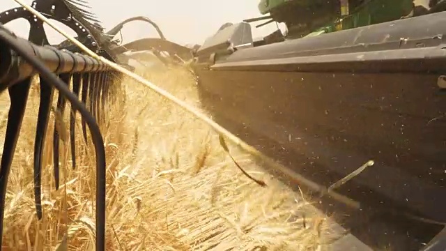 Jan Kempdorp/北开普/南非的农业场景视频素材