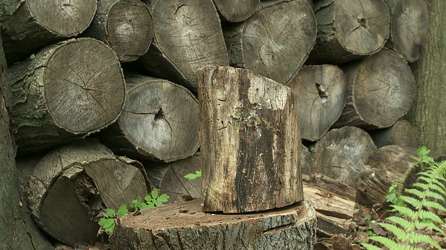 木头砍24 _05s视频素材