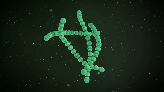 一个化脓性链球菌的三维动画视频下载