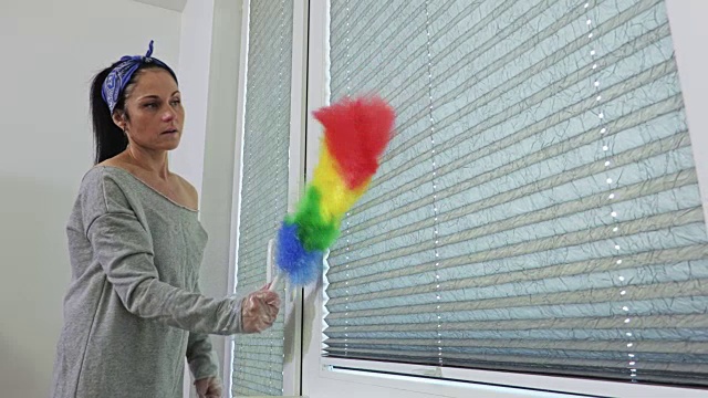 妇女用彩色灰尘刷清洁百叶窗视频下载