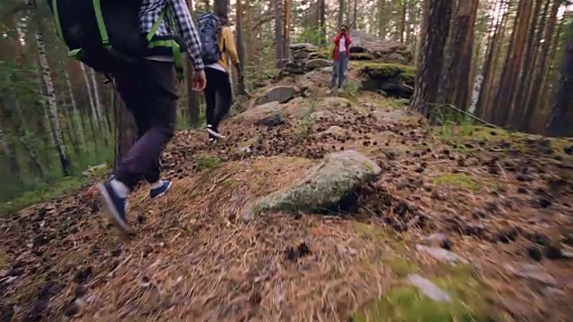 一群游客在森林里徒步行走，在树木和周围的植物和岩石中行走，重点关注腿和脚。鞋类，旅游和冒险的概念。视频素材