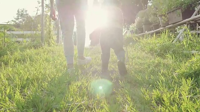 亚洲母亲走和牵着她的小男孩在农场在日落。视频下载